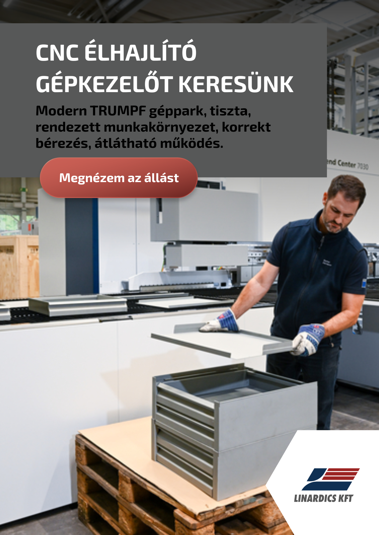 Megnézem az állást